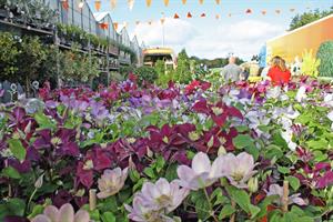 Four Oaks_Stand display